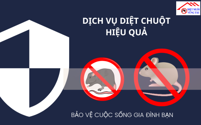 ĐIỂM VƯỢT TRỘI CỦA DỊCH VỤ DIỆT CHUỘT TẠI DIỆT MUỖI VŨNG TÀU