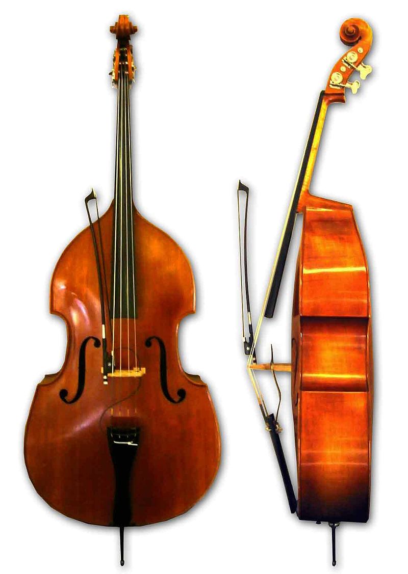 TỔNG QUAN VỀ NHẠC CỤ CONTRABASS