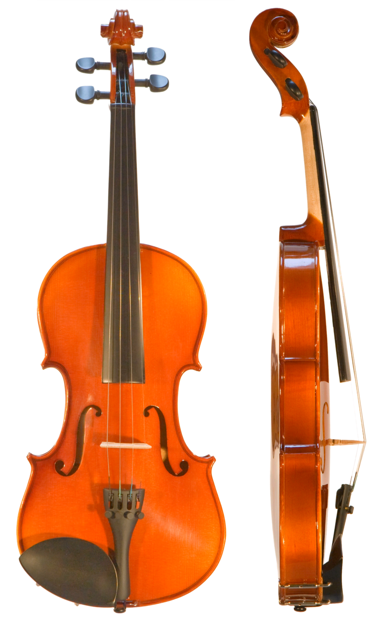 TỔNG QUAN NHẠC CỤ VIOLIN