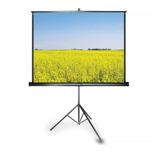 Màn chiếu 3 chân Apollo 100 Inch (1,78m x1,78m)